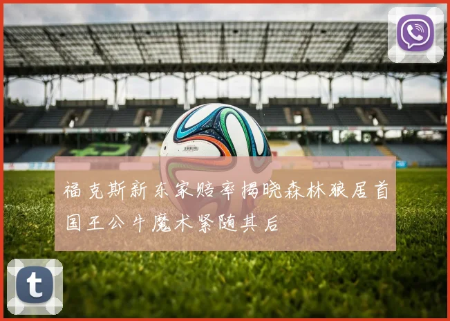 福克斯新东家赔率揭晓森林狼居首国王公牛魔术紧随其后