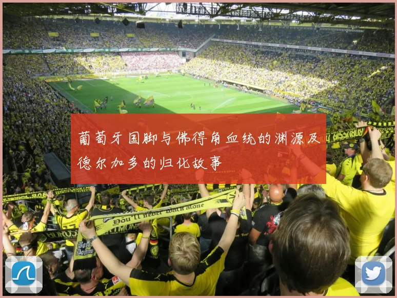 葡萄牙国脚与佛得角血统的渊源及德尔加多的归化故事