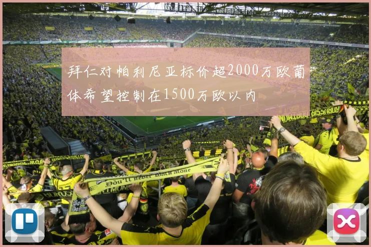 拜仁对帕利尼亚标价超2000万欧葡体希望控制在1500万欧以内