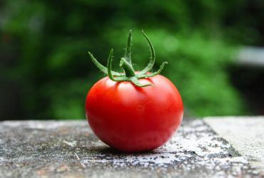 Does the Pomodoro Technique Work?